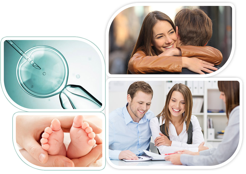 Start a Happy Family Journey