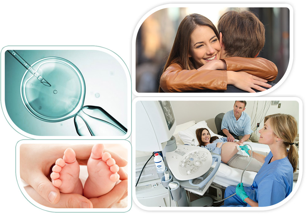 Professional, Personalized Treatment Plan