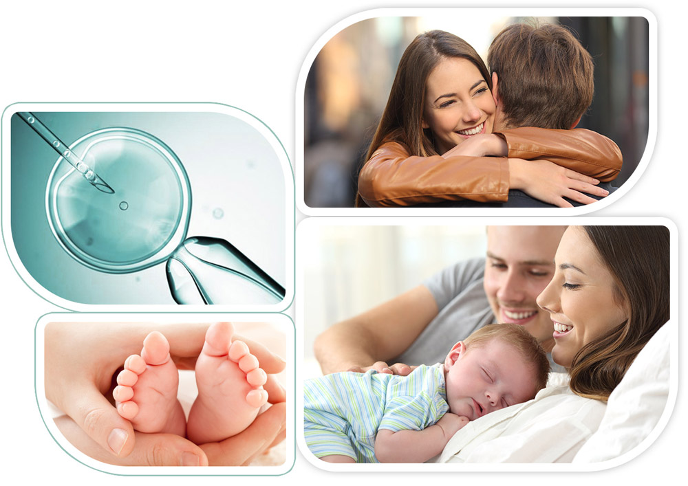 International Top Medical Expert Team